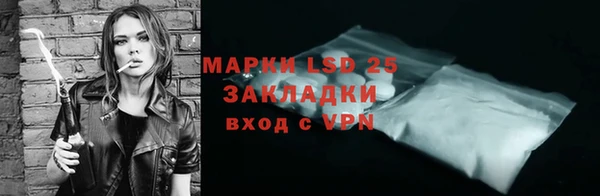 гашик Сосновый Бор